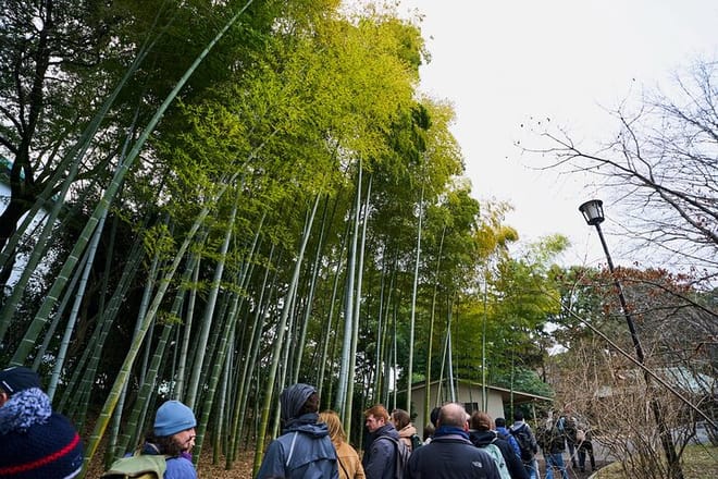 Tokyo Castle & Imperial PalaceーShogun Walking Tour