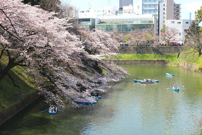 Tokyo Castle & Imperial PalaceーShogun Walking Tour