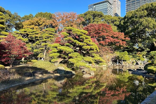 Tokyo Castle & Imperial PalaceーShogun Walking Tour