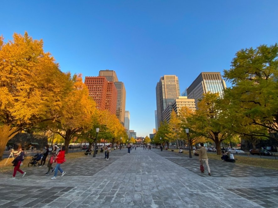 Autumn foliage at popular Tokyo spot in November