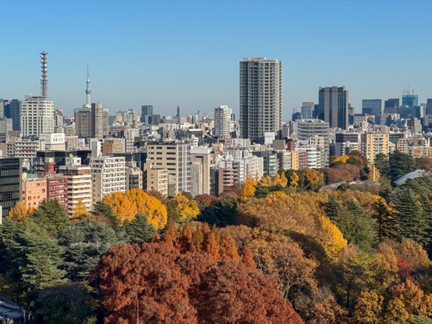 Shinjuku Gyoen autumn foliage in Tokyo in November