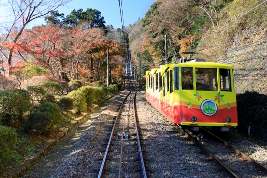 Mt. Takao autumn foliage near Tokyo in November