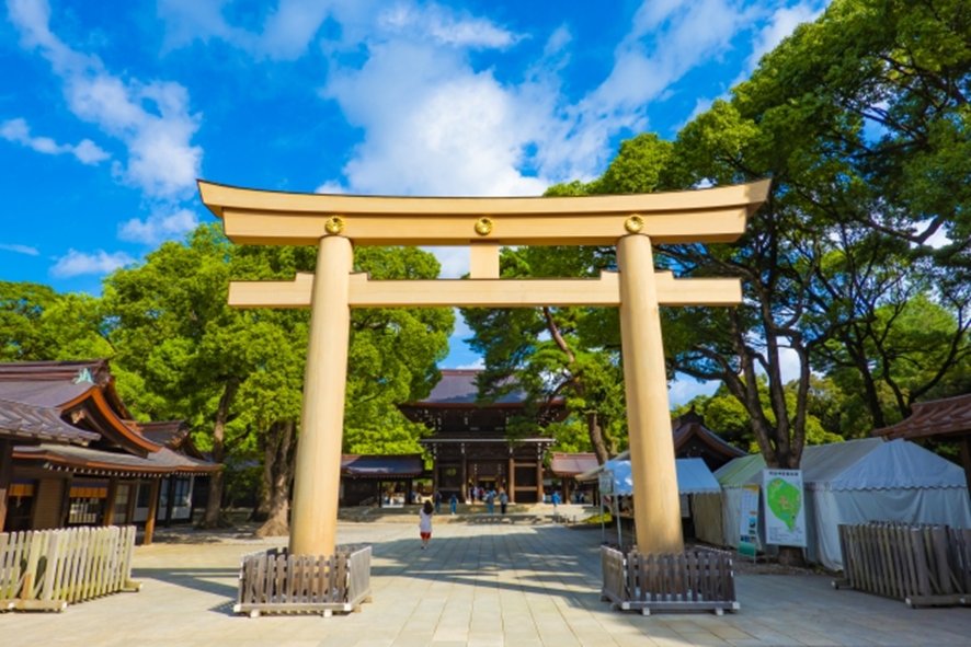 Morning walk at Meiji Jingu in Tokyo in November