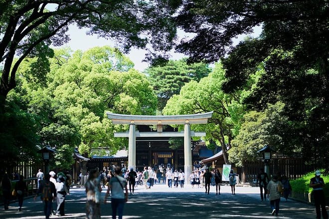Tokyo: Meiji Shrine Walking Tour — Shintoism & Imperial System