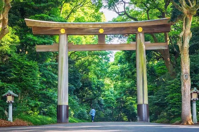 Tokyo: Meiji Shrine Walking Tour — Shintoism & Imperial System