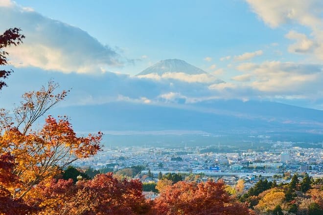 Tokyo: Mt. Fuji Cruise & Hakone Ropeway Day Trip by Bus