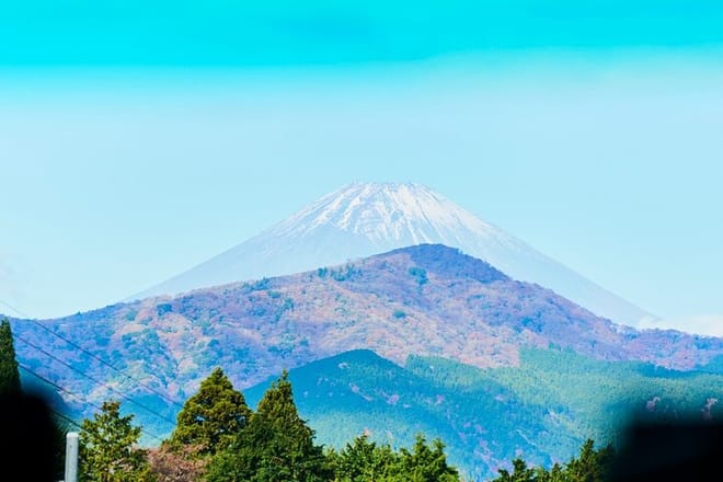 Tokyo: Mt. Fuji Cruise & Hakone Ropeway Day Trip by Bus