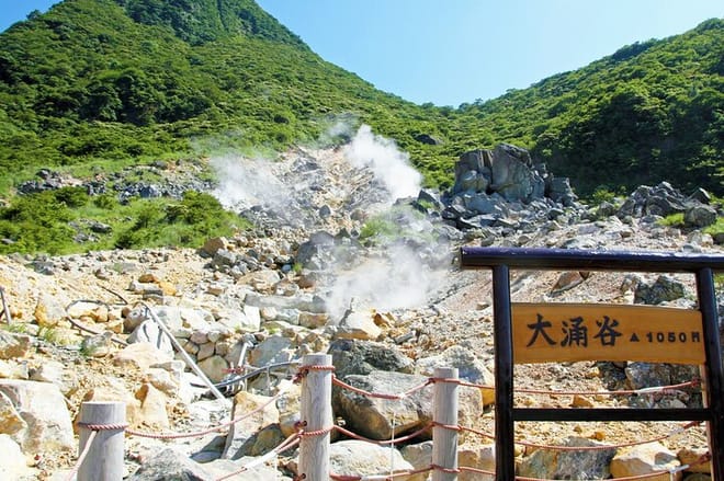 Tokyo: Mt. Fuji Cruise & Hakone Ropeway Day Trip by Bus