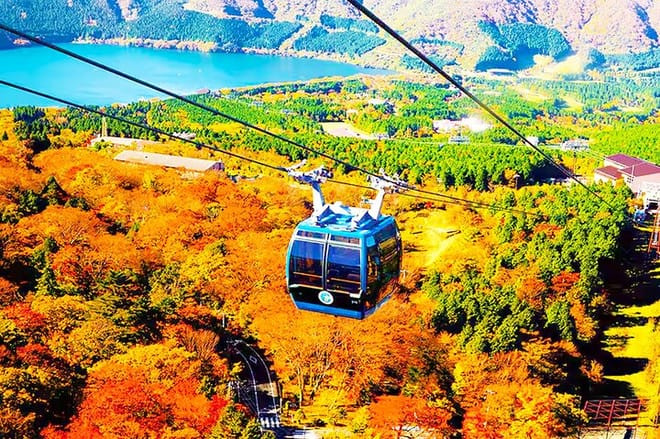 Tokyo: Mt. Fuji Cruise & Hakone Ropeway Day Trip by Bus