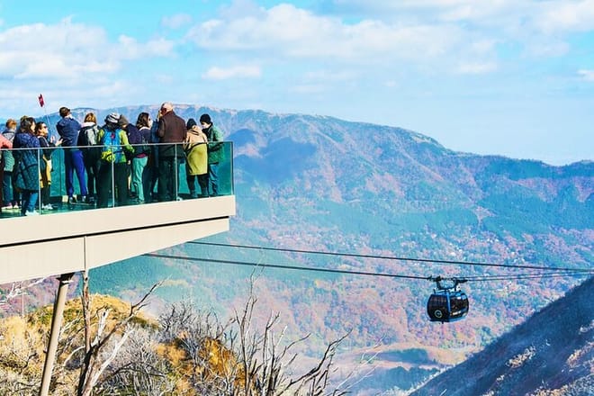 Tokyo: Mt. Fuji Cruise & Hakone Ropeway Day Trip by Bus