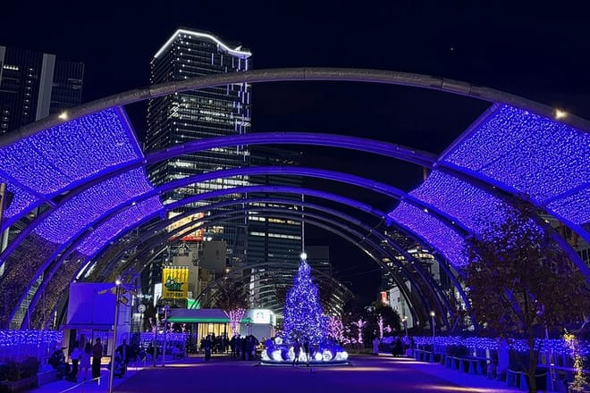 Tokyo: Shibuya Highlights Walking Tour & Secret View Spot