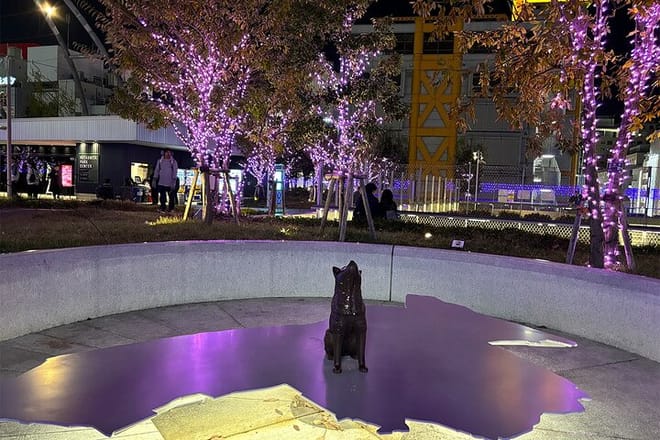 Tokyo: Shibuya Highlights Walking Tour & Secret View Spot