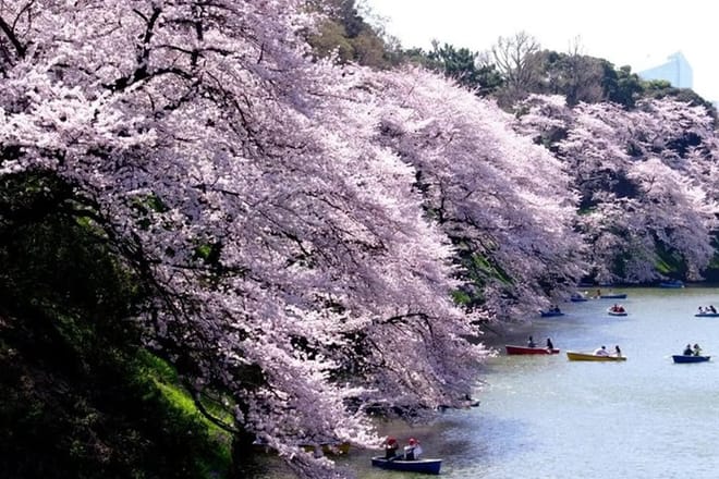 Tokyo Station and Imperial Palace 1 Hour Guided Tour