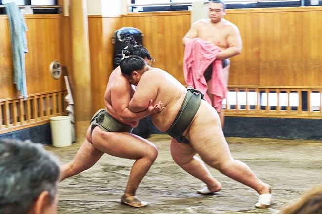 Tokyo: Sumo Morning Practice Viewing Tour at a Real Stable