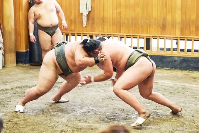 Tokyo: Sumo Morning Practice Viewing Tour at a Real Stable