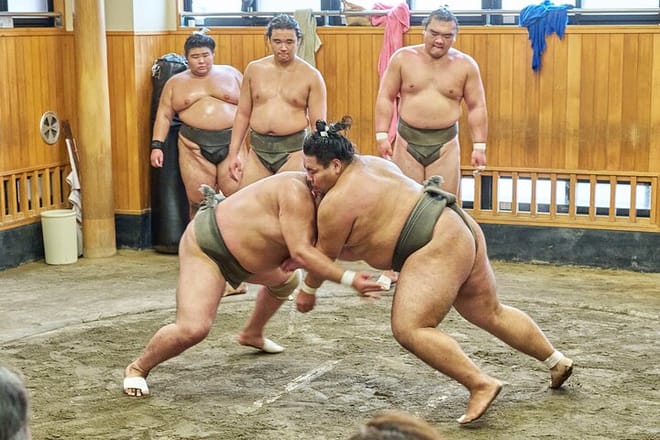 Tokyo: Sumo Morning Practice Viewing Tour at a Real Stable