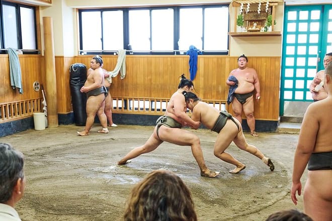 Tokyo: Sumo Morning Practice Viewing Tour at a Real Stable