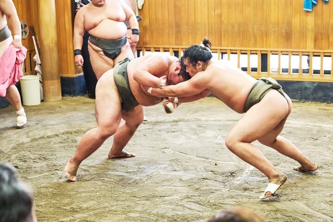 Tokyo: Sumo Morning Practice Viewing Tour at a Real Stable