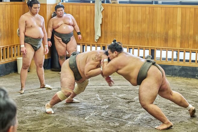 Tokyo: Sumo Morning Practice Viewing Tour at a Real Stable