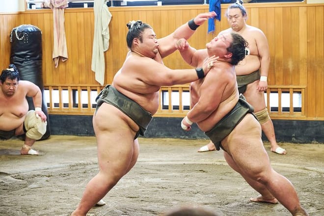 Tokyo: Sumo Morning Practice Viewing Tour at a Real Stable