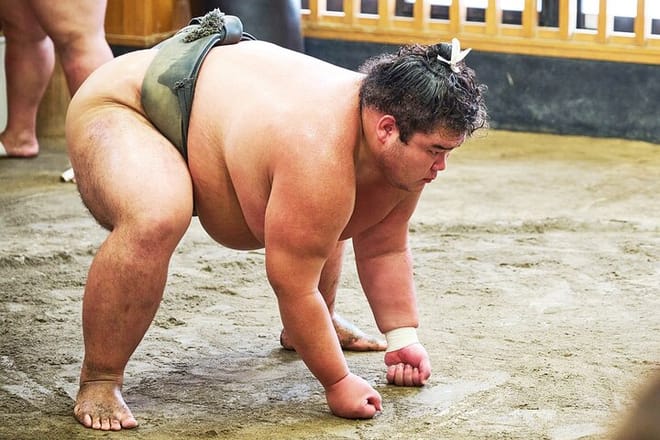 Tokyo: Sumo Morning Practice Viewing Tour at a Real Stable