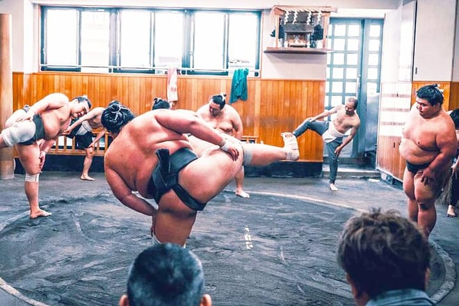 Tokyo: Sumo Morning Practice Viewing Tour at a Real Stable