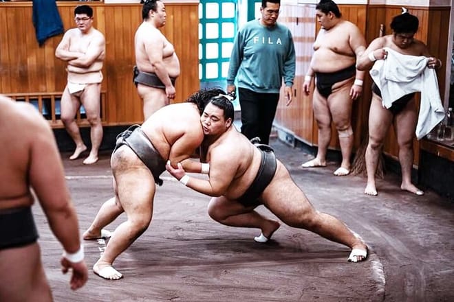Tokyo: Sumo Morning Practice Viewing Tour at a Real Stable