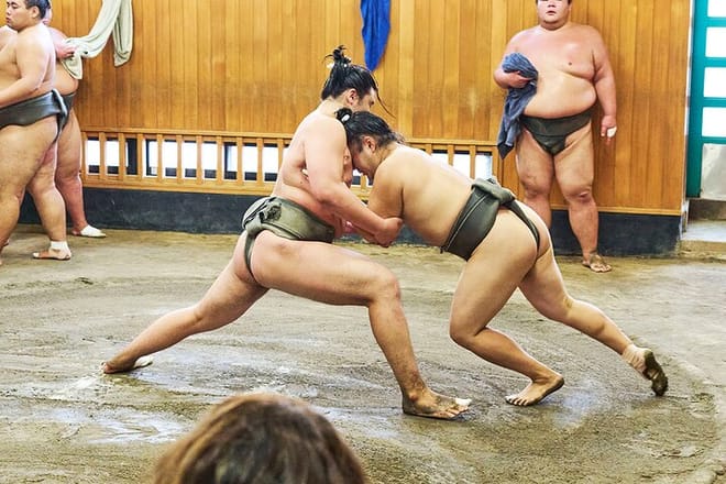 Tokyo: Sumo Morning Practice Viewing Tour at a Real Stable