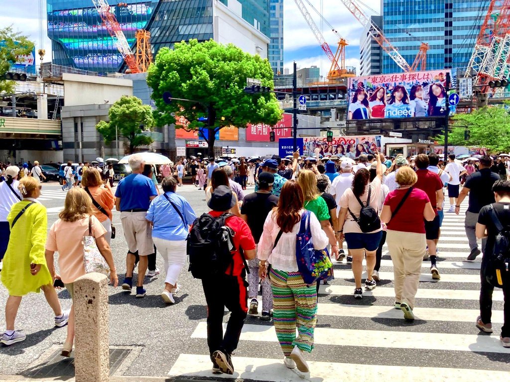 Comparison of seven Tokyo walking tours