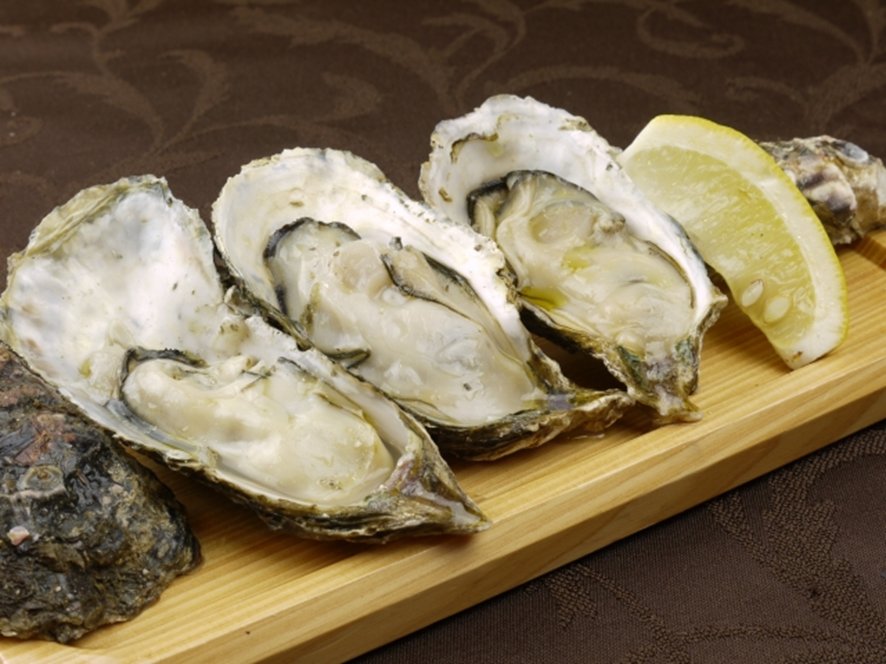 Grilled scallops and fresh oysters in shells
