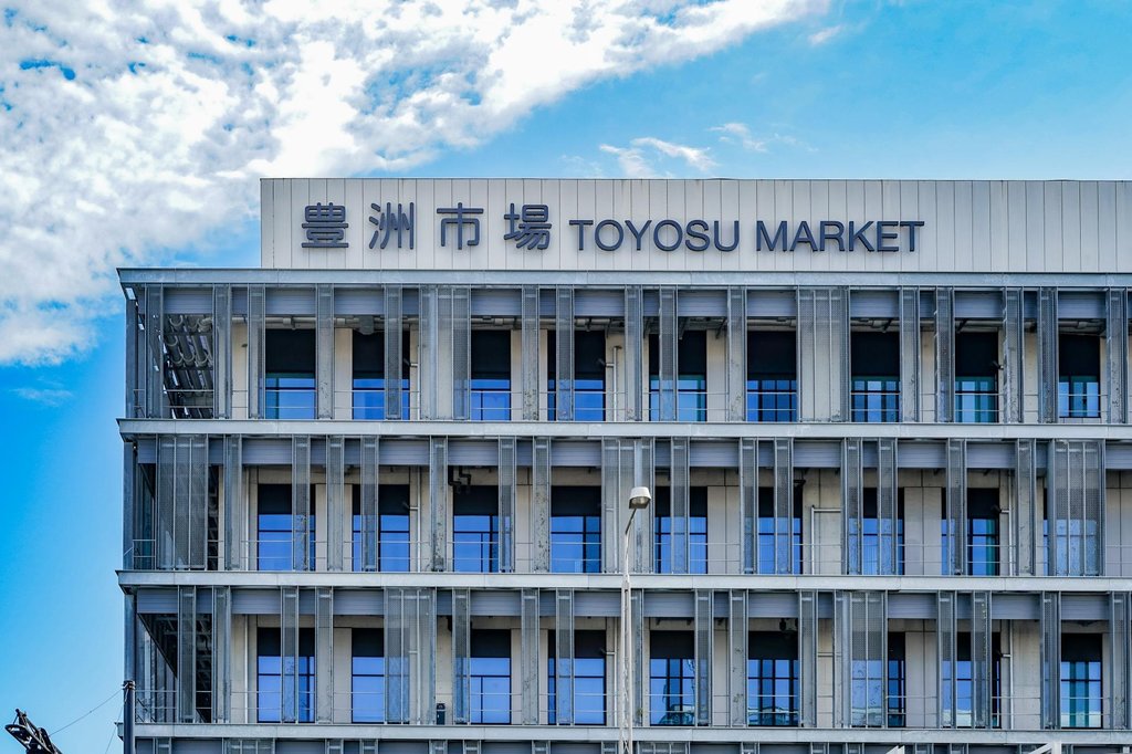 Tsukiji vs Toyosu market comparison overview