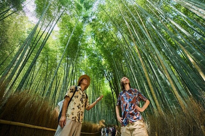 Bamboo grove path in Arashiyama