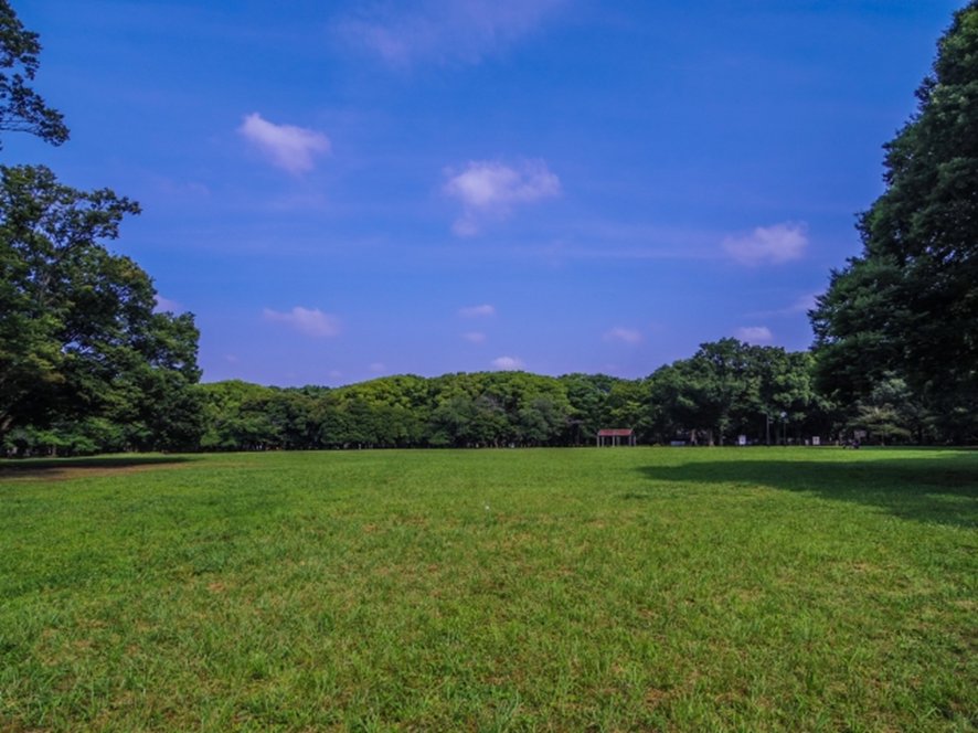 Hidden spot off the beaten path in Tokyo