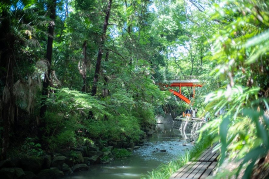 Nature trail at Todoroki Valley Tokyo