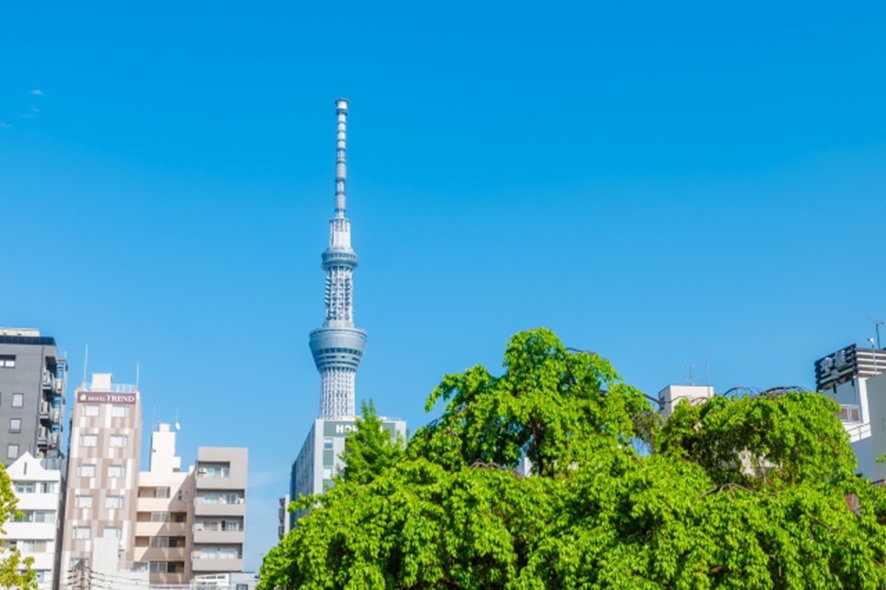 Planning unique things to do in Tokyo
