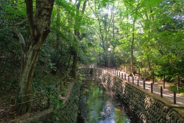 Hidden local neighborhood in Tokyo