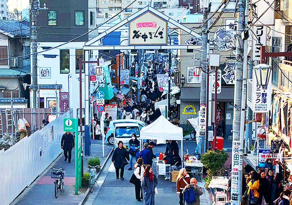 Tokyo: Yanaka District History Walking Tour