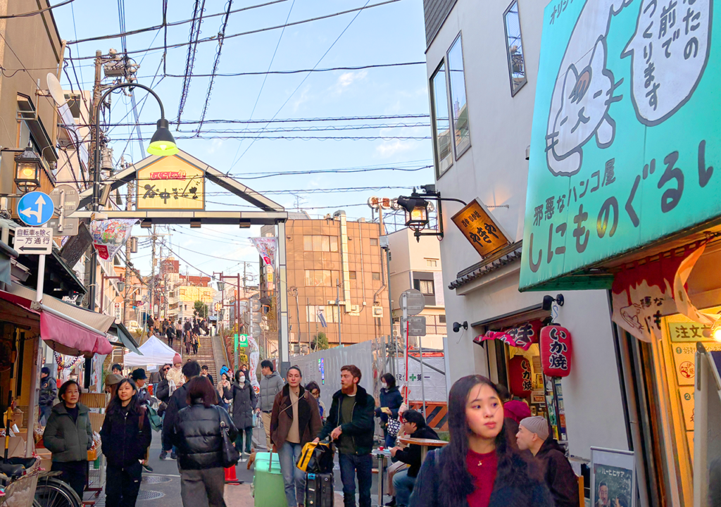 Tokyo: Yanaka District History Walking Tour