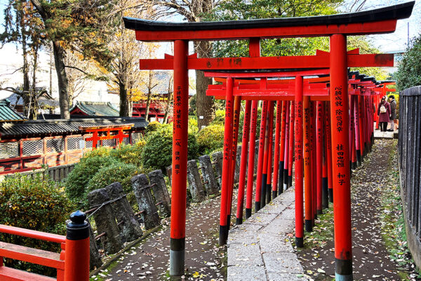 Tokyo: Yanaka District History Walking Tour